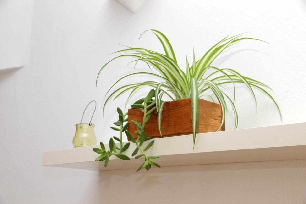 Campo De' Fiori Cute Apartment 로마 외부 사진